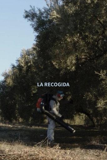 Olive Harvest (2021) poster