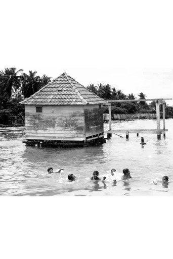 Muchachos bañándose en la laguna de Maracaibo (1897) poster