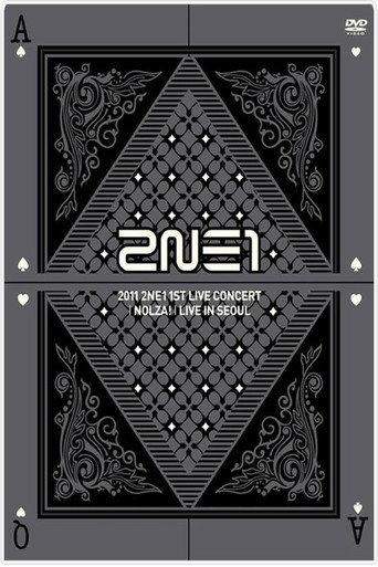 2NE1: 1st Live Concert NOLZA (2011) poster