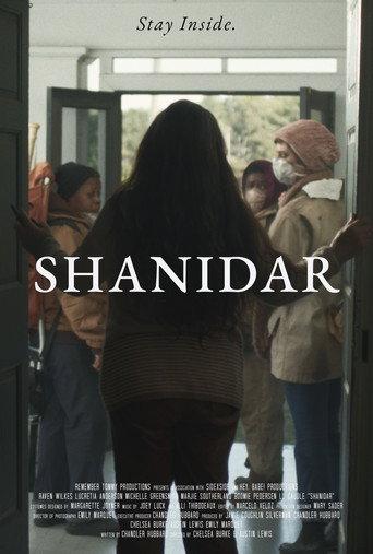Shanidar () poster