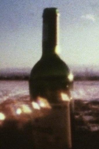 Discrepant Sight (2003) poster