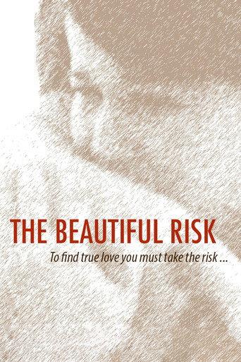 The Beautiful Risk (2014) poster