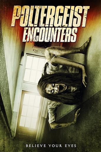 Poltergeist Encounters (2016) poster