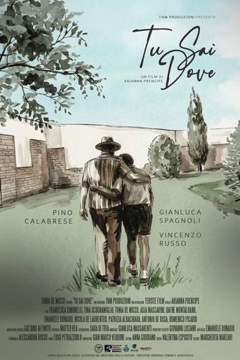Tu sai dove () poster