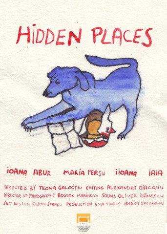 Hidden places () poster