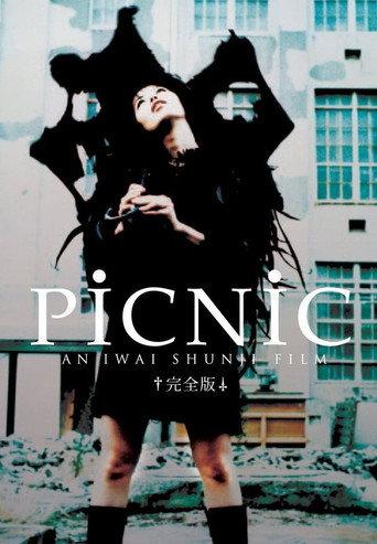 Picnic (1996) poster