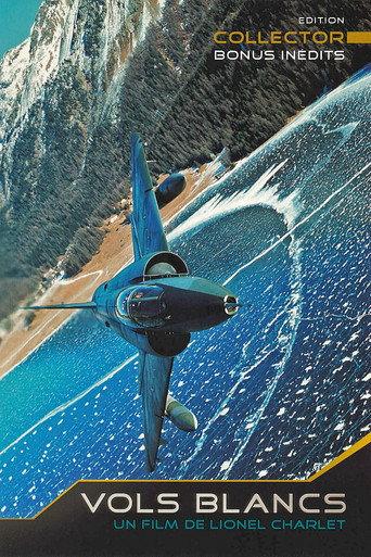 Vols Blancs (2004) poster