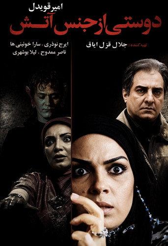 A Friend Made of Fire (2009) poster