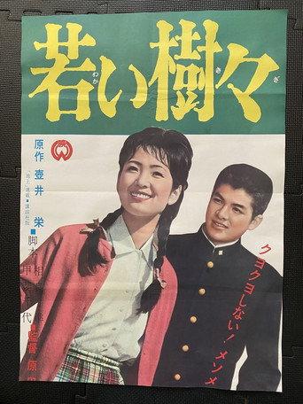 Young Trees (1963) poster