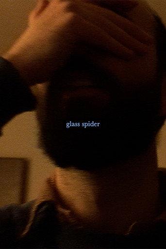 Glass Spider () poster