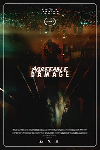 Agreeable damage (2020) poster