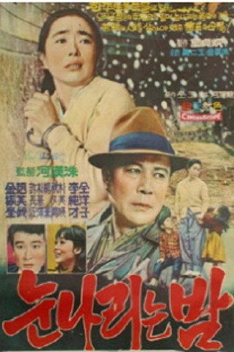 The Snow Falling Night (1969) poster
