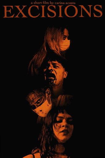 Excisions (2025) poster