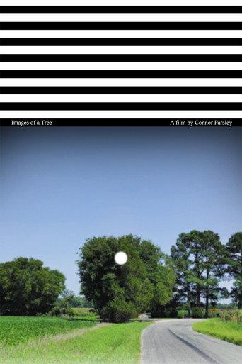 Images of a Tree (2025) poster