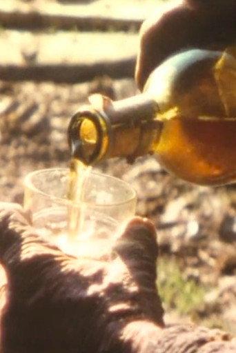 Before gulping (1976) poster