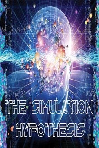 The Simulation Hypothesis (2015) poster