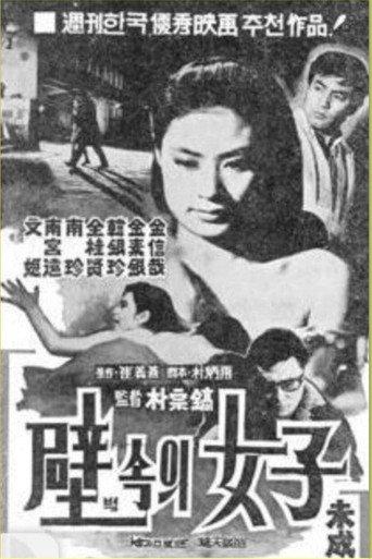 A Woman in the Wall (1969) poster