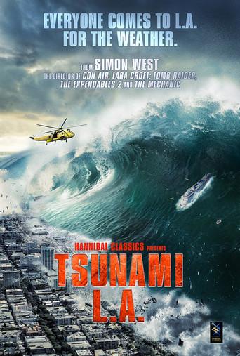 Tsunami LA () poster