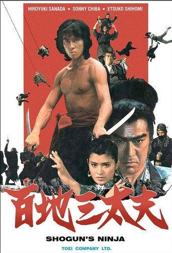 Shogun's Ninja (1980) poster