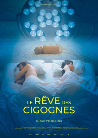 Dream of Storks (2025) poster