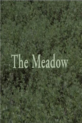 The Meadow (1998) poster
