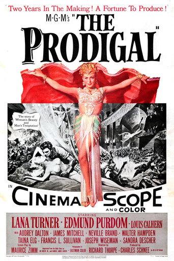 The Prodigal (1955) poster