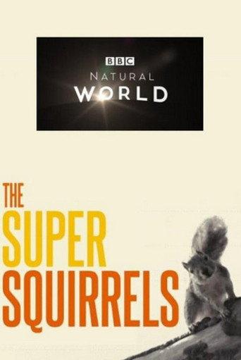 The Super Squirrels (2018) poster