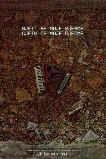 Remember My Song (2026) poster