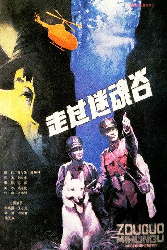 Go Through A Magic Valley (1987) poster