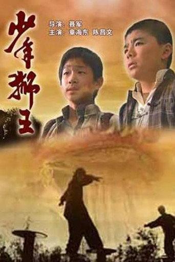 少年狮王 (2006) poster