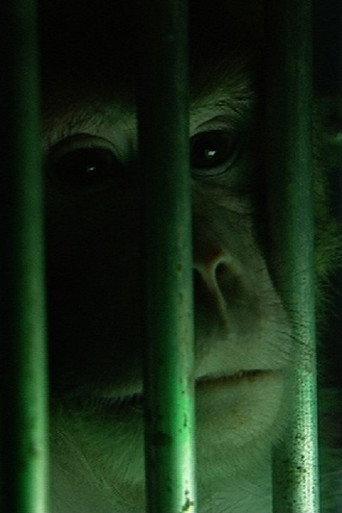 Monkeys, Rats and Me (2006) poster