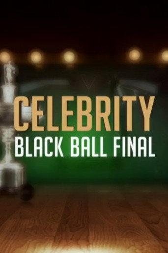 Celebrity Black Ball Final with Steve Davis (2015) poster