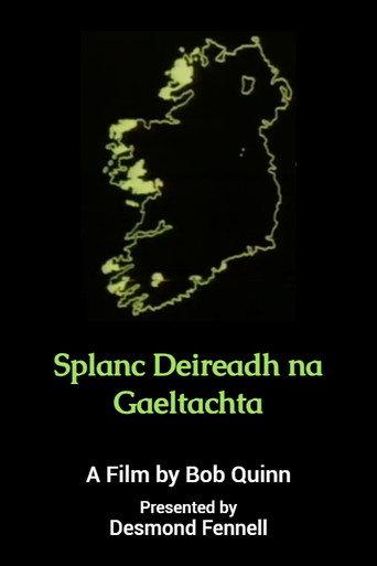 Last Days of the Gaeltacht (1980) poster