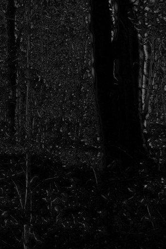 Phosphenes II (2024) poster