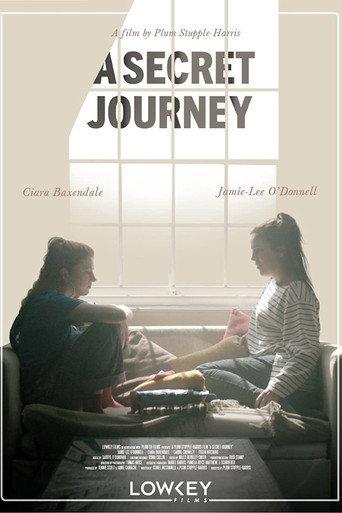 A Secret Journey () poster