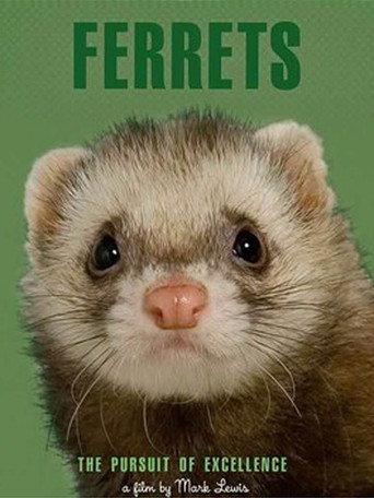 Ferrets (2007) poster