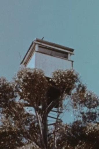 The Karri Forest (1962) poster
