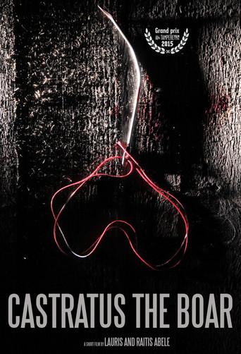 Castratus the Boar (2014) poster