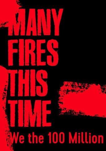 Many Fires This Time: We the 100 Million (2021) poster