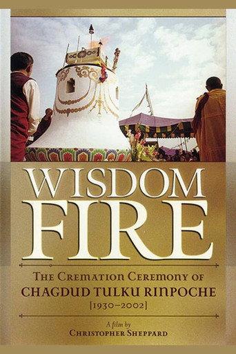 Wisdom Fire - Chagdud Tulku Rinpoche's Cremation () poster