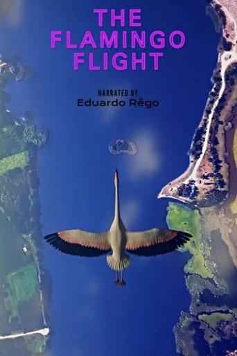 O Voo do Flamingo () poster