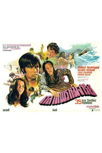 The Virgin Market (1973) poster