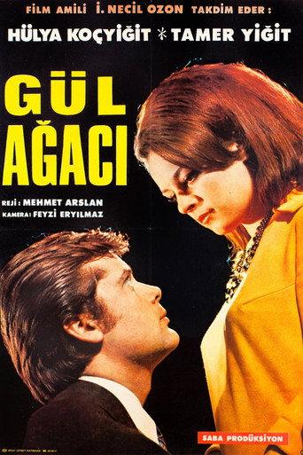 Gül Ağacı (1967) poster