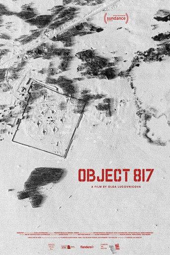 Object 817 (2024) poster