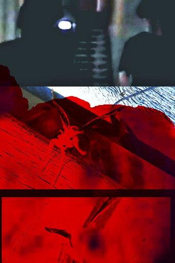 Because I felt like it () poster