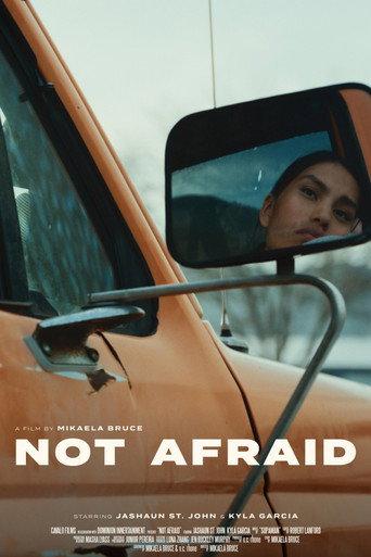 Not Afraid () poster