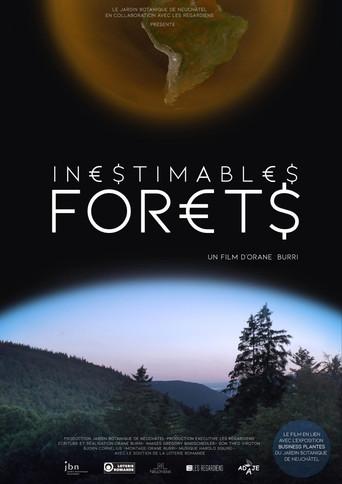 Inestimables forêts (2024) poster