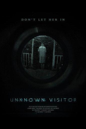Unknown Visitor (2019) poster