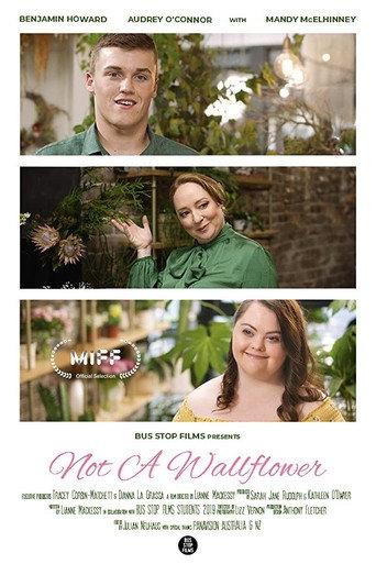 Not a Wallflower (2020) poster