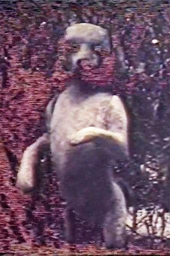 Une Passagère (1984) poster